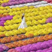 ヒメ日記 2025/09/12 14:00 投稿 えみこ 熟女の風俗最終章 相模原店