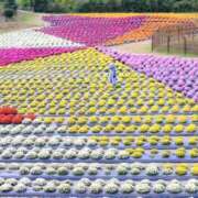 ヒメ日記 2025/09/12 17:20 投稿 えみこ 熟女の風俗最終章 相模原店