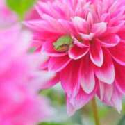 ヒメ日記 2025/09/20 10:20 投稿 えみこ 熟女の風俗最終章 相模原店