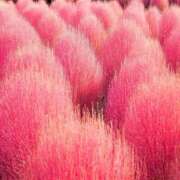 ヒメ日記 2025/09/28 10:00 投稿 えみこ 熟女の風俗最終章 相模原店