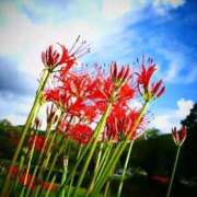 ヒメ日記 2025/09/29 16:50 投稿 えみこ 熟女の風俗最終章 相模原店