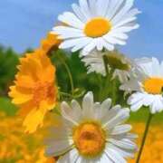 ヒメ日記 2025/10/23 08:55 投稿 えみこ 熟女の風俗最終章 相模原店