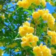 ヒメ日記 2025/10/29 11:50 投稿 えみこ 熟女の風俗最終章 相模原店