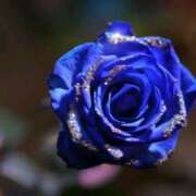 ヒメ日記 2025/11/03 15:47 投稿 えみこ 熟女の風俗最終章 相模原店