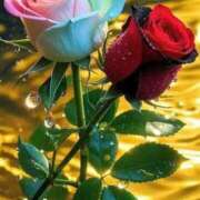 ヒメ日記 2025/11/20 15:11 投稿 えみこ 熟女の風俗最終章 相模原店