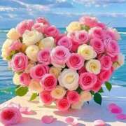 ヒメ日記 2025/11/29 10:01 投稿 えみこ 熟女の風俗最終章 相模原店