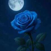 えみこ こんばんわ 熟女の風俗最終章 相模原店