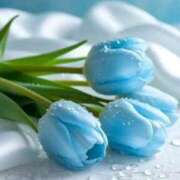 ヒメ日記 2025/12/22 23:00 投稿 えみこ 熟女の風俗最終章 相模原店