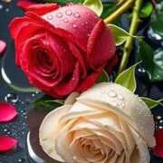 ヒメ日記 2026/01/19 16:30 投稿 えみこ 熟女の風俗最終章 相模原店