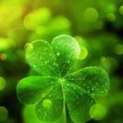 ヒメ日記 2026/03/04 12:03 投稿 えみこ 熟女の風俗最終章 相模原店