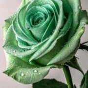 ヒメ日記 2026/04/14 05:10 投稿 えみこ 熟女の風俗最終章 相模原店