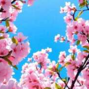 ヒメ日記 2026/04/18 14:20 投稿 えみこ 熟女の風俗最終章 相模原店