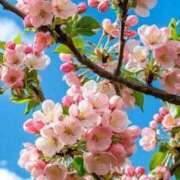 ヒメ日記 2026/04/18 20:20 投稿 えみこ 熟女の風俗最終章 相模原店