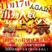 ヒメ日記 2025/11/13 13:54 投稿 しいな 奥鉄オクテツ大阪