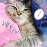 ヒメ日記 2025/04/11 03:03 投稿 八木(やぎ) 相模原人妻城