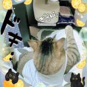 ヒメ日記 2025/04/17 08:03 投稿 八木(やぎ) 相模原人妻城