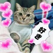 ヒメ日記 2025/04/21 04:48 投稿 八木(やぎ) 相模原人妻城