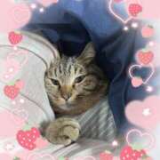 ヒメ日記 2025/04/24 03:33 投稿 八木(やぎ) 相模原人妻城