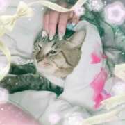 ヒメ日記 2025/04/26 06:18 投稿 八木(やぎ) 相模原人妻城