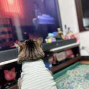 ヒメ日記 2025/05/03 23:18 投稿 八木(やぎ) 相模原人妻城