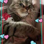 ヒメ日記 2025/08/22 15:42 投稿 八木(やぎ) 相模原人妻城