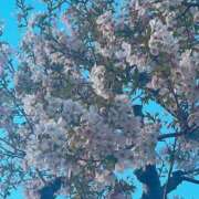 ヒメ日記 2025/04/04 20:13 投稿 ななみ One More奥様　蒲田店