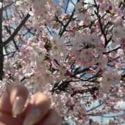 ヒメ日記 2026/04/03 22:41 投稿 ななみ One More奥様　蒲田店