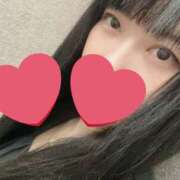 ヒメ日記 2025/04/02 00:18 投稿 カオル先生 IMS