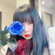 ヒメ日記 2025/04/03 18:38 投稿 カオル先生 IMS