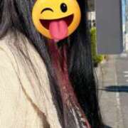 ヒメ日記 2025/12/06 12:34 投稿 カオル先生 IMS