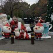 ヒメ日記 2025/12/25 23:15 投稿 カオル先生 IMS