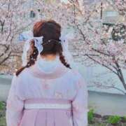 ヒメ日記 2025/01/02 10:53 投稿 倉野尾成美 多恋人倶楽部