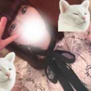 ヒメ日記 2025/01/29 08:34 投稿 倉野尾成美 多恋人倶楽部