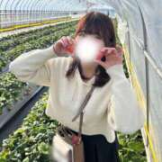 ヒメ日記 2025/02/01 23:12 投稿 倉野尾成美 多恋人倶楽部