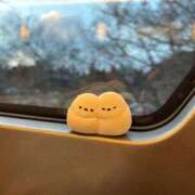 ヒメ日記 2025/03/13 14:03 投稿 倉野尾成美 多恋人倶楽部