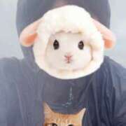 ヒメ日記 2025/05/21 11:01 投稿 倉野尾成美 多恋人倶楽部