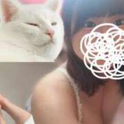 ヒメ日記 2025/07/08 12:54 投稿 倉野尾成美 多恋人倶楽部