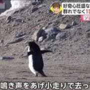 ヒメ日記 2025/07/20 10:48 投稿 倉野尾成美 多恋人倶楽部