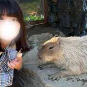 ヒメ日記 2025/09/02 13:26 投稿 倉野尾成美 多恋人倶楽部