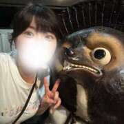 ヒメ日記 2025/09/17 10:47 投稿 倉野尾成美 多恋人倶楽部