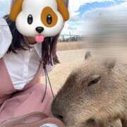 ヒメ日記 2025/10/06 10:51 投稿 倉野尾成美 多恋人倶楽部