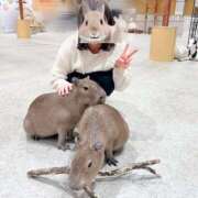 ヒメ日記 2025/11/17 10:45 投稿 倉野尾成美 多恋人倶楽部