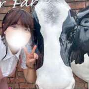 ヒメ日記 2025/12/27 11:01 投稿 倉野尾成美 多恋人倶楽部