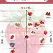 ヒメ日記 2026/01/17 10:47 投稿 倉野尾成美 多恋人倶楽部