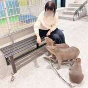 ヒメ日記 2026/02/15 10:49 投稿 倉野尾成美 多恋人倶楽部