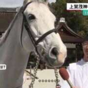 ヒメ日記 2026/03/12 10:43 投稿 倉野尾成美 多恋人倶楽部