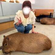 ヒメ日記 2026/09/19 11:01 投稿 倉野尾成美 多恋人倶楽部