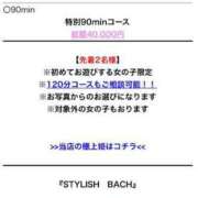 ヒメ日記 2024/02/02 09:57 投稿 セイラ　TRAINER STYLISH BACH