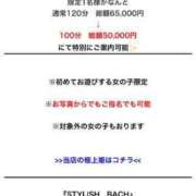 ヒメ日記 2024/04/15 11:15 投稿 セイラ　TRAINER STYLISH BACH