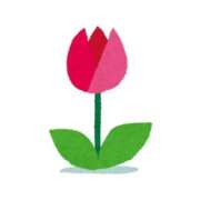 ヒメ日記 2025/07/24 13:08 投稿 こはる 東京妻next (京都グループ)